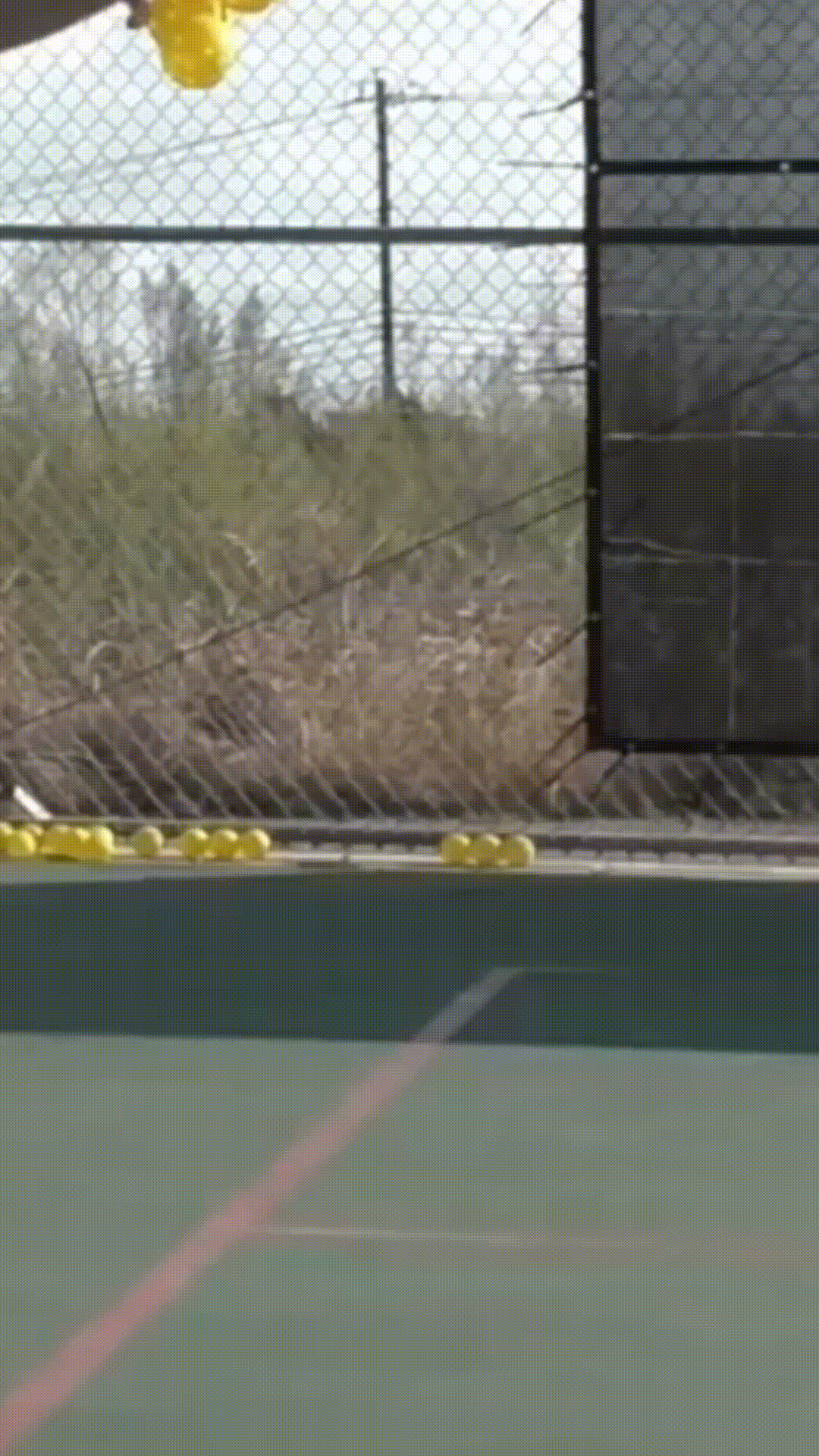 Animated GIF demonstrating a legal drop serve, where the player drops the ball and hits it after the bounce.